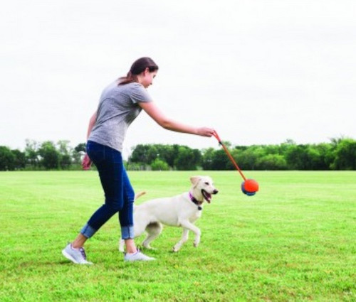 Chuckit! Rope Fetch Dog Toy