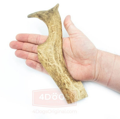 4DOGS Fallow Deer Antlers Dog Chew Size XL