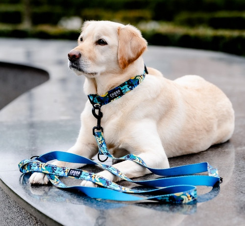 CHABA Adjustable Dog Collar Story III L Carnival