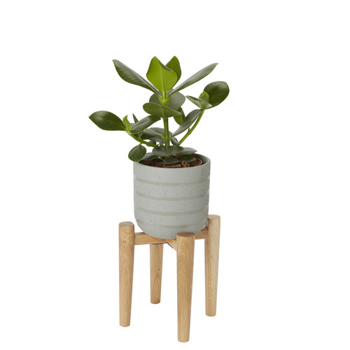 Ceramic Plant Pot GoodHome 12 cm, grey