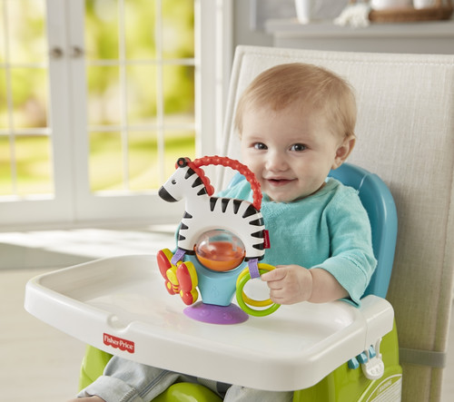 Fisher-Price Activity Zebra FGJ11 3m+