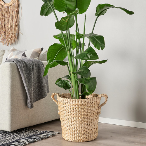 TÖRNBÄR Plant pot, banana fibre handmade, 32 cm