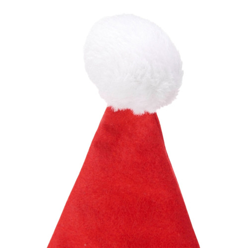 Christmas Santa's Hat