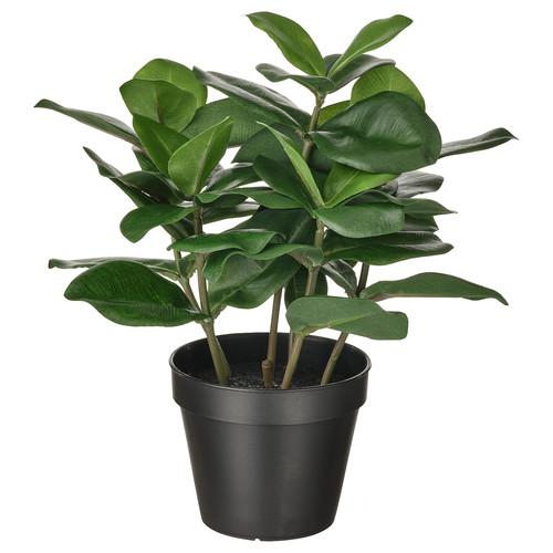 FEJKA Artificial potted plant, in/outdoor Clusia, 12 cm