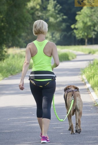 Dingo Belt for Running with Dog, 4 variants