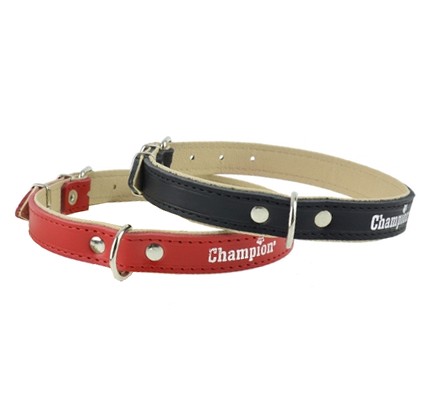 Champion Leather Collar 50/1.8, black