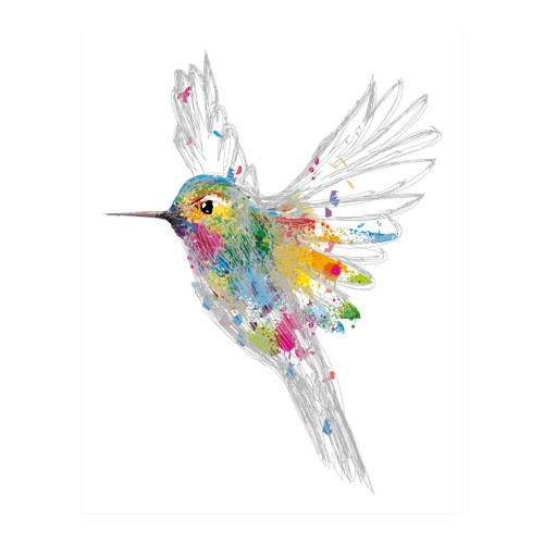 Picture Humming Bird 40x50cm