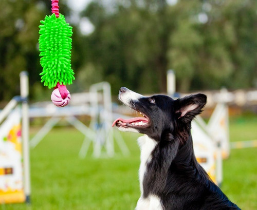 Dingo Dog Toy Bungee Tug Toy with Mop and Ball, 1pc, green