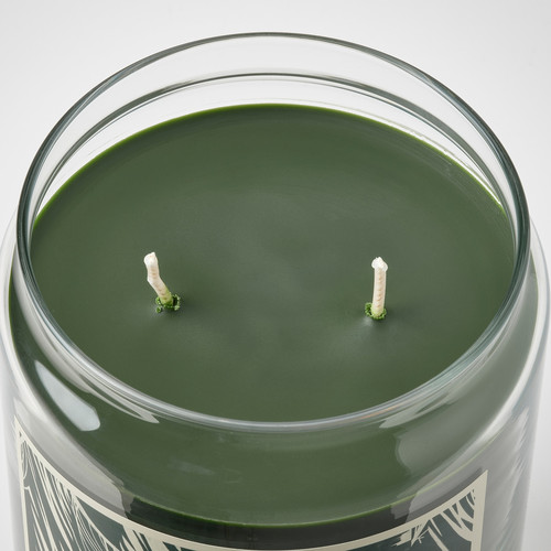 JÄMTSKOGEN Scented cndl in glass w lid/2 wicks, cypress & eucalyptus/dark green, 100 hr