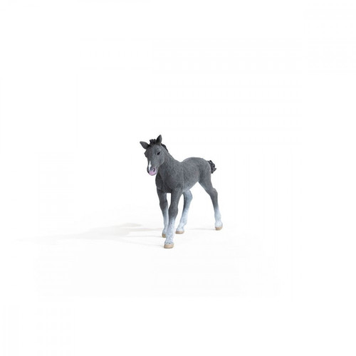 Schleich Trakehner Foal 5+