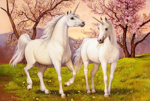 Castorland Jigsaw Puzzle Unicorn Love 1000pcs 9+