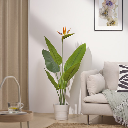 FEJKA Artificial potted plant, in/outdoor Bird of paradise, 19 cm