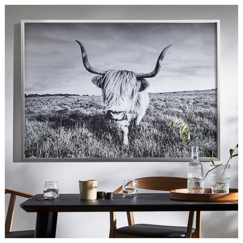 BJÖRKSTA Picture with frame, curious cow/aluminium-colour, 140x100 cm