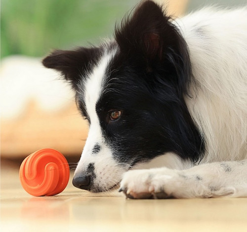 PetDreamHouse Dog Toy Geo-Hex, blue