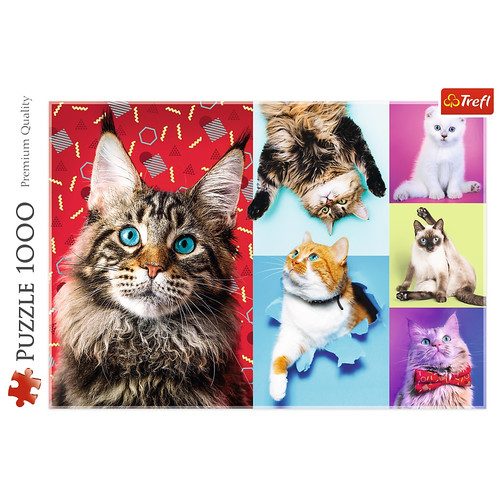 Trefl Jigsaw Puzzle Happy Cats 1000pcs 12+