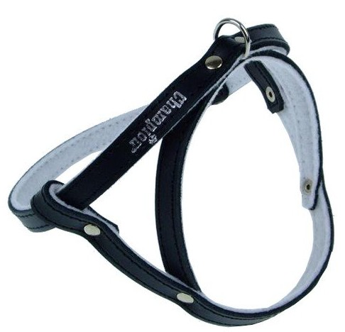 Champion Leather Dog Harness 50, black