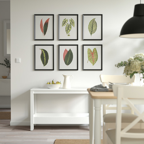 BILD Poster, collection of leaves, 30x40 cm, 6 pack