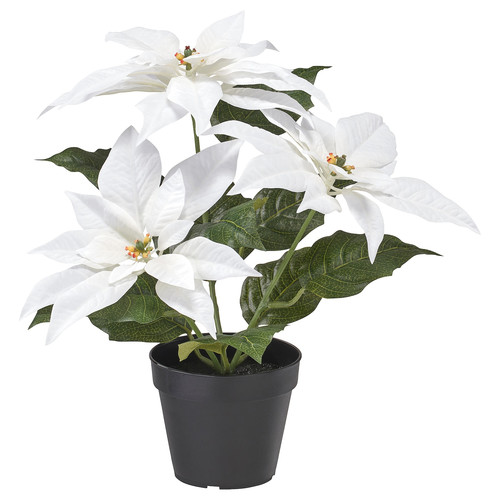 VINTERFINT Artificial potted plant, in/outdoor Poinsettia/white, 12 cm