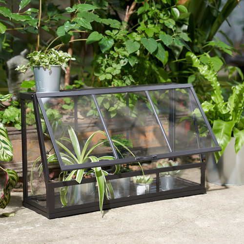 ÅKERBÄR Greenhouse, indoor/outdoor/anthracite, 65 cm