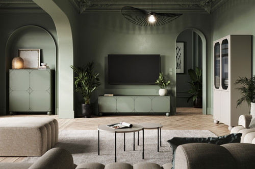 TV Cabinet Sonatia II 200 cm, olive