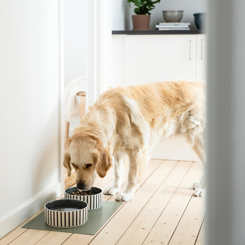 UTSÅDD Pet bowl, stripe pattern black-blue/grey-green, 19 cm