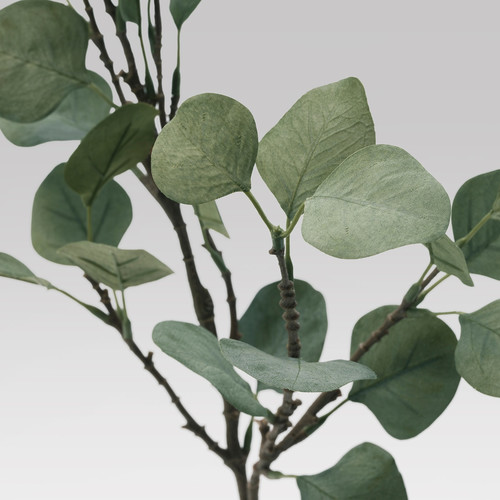 SMYCKA Artificial leaf, Eucalyptus, green, 65 cm