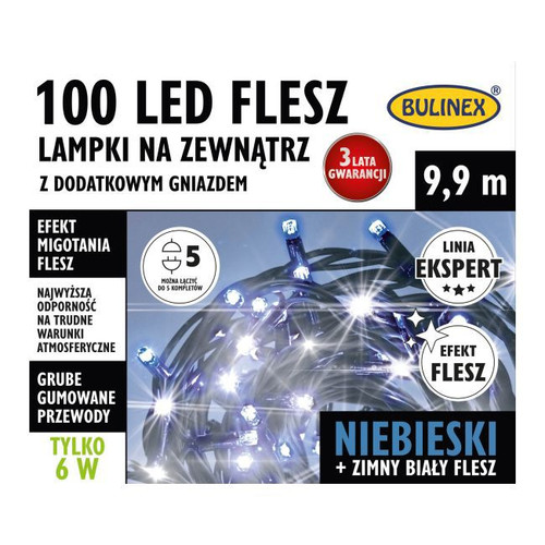 Christmas Lights In-/Outdoor 100 LED 9.9m, flash, cool white/blue