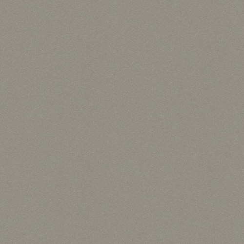 Kitchen Splashback Laminated Wall Panel 0.3 x 60 x 200 cm, grey matt zinc