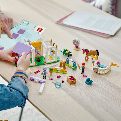 LEGO Friends Horse Training 4+