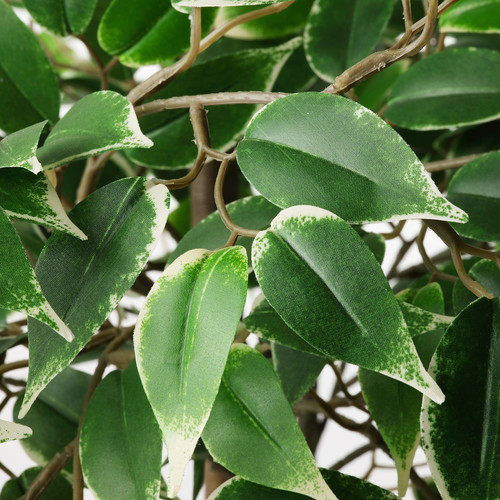 FEJKA Artificial potted plant, in/outdoor Weeping fig, 21 cm