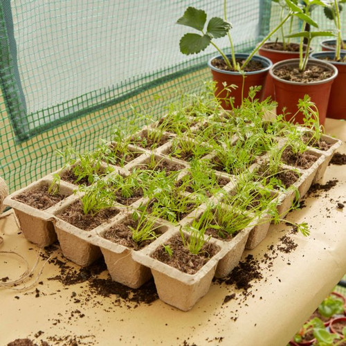 Verve Natural Tray Seed Pots 4.5 x 4.5 x 24cm 5pcs