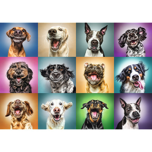 Trefl Jigsaw Puzzle Funny Dog Portraits 1000pcs 12+