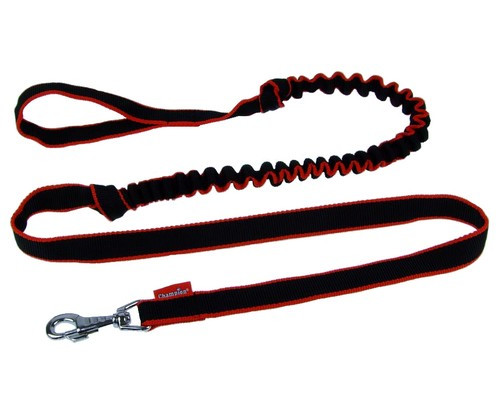 Champion Bungee Dog Leash 2.5