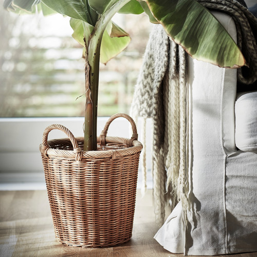 KAKTUSFIKON Plant pot, rattan, 24 cm