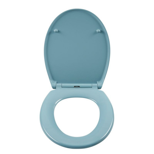 Cooke & Lewis Duroplast Soft-close Toilet Seat Diani, blue