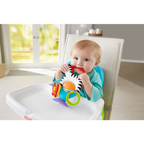 Fisher-Price Activity Zebra FGJ11 3m+