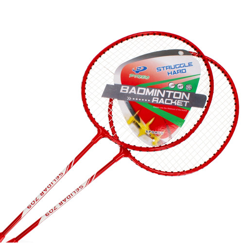 Badminton Set 14+