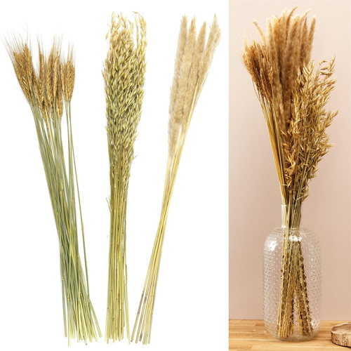 Dried Pampass Grass Bouquet 75cm