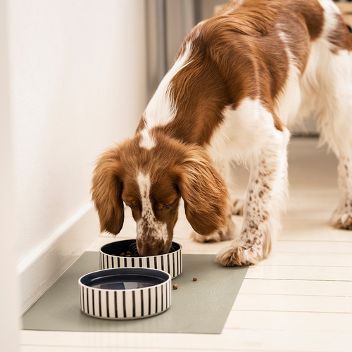 UTSÅDD Pet bowl, stripe pattern black-blue/dark blue, 15 cm