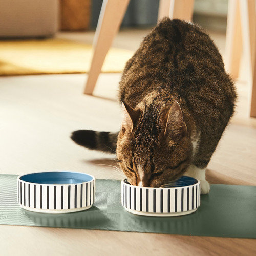 UTSÅDD Pet bowl, stripe pattern black-blue/grey-blue, 11 cm