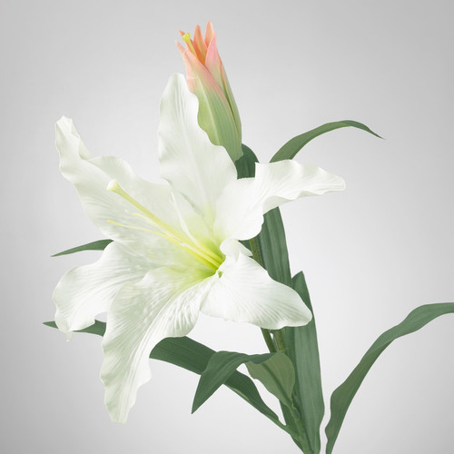 SMYCKA Artificial flower, Lily, white, 85 cm