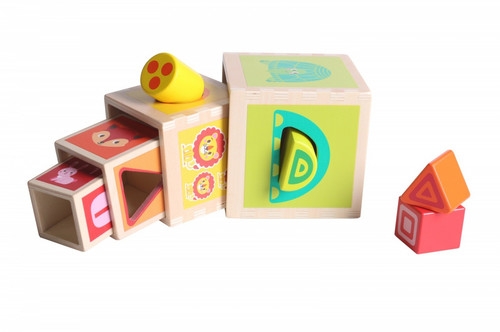 iWood Wooden Shape Sorter Cubes 12m+