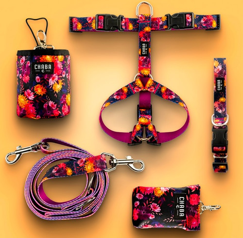 CHABA Adjustable Dog Leash Story M 20mm/260cm, marigold