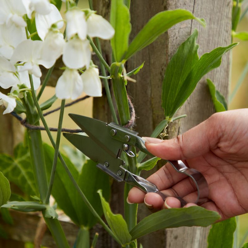 GoodHome Herb Garden Snips UQ