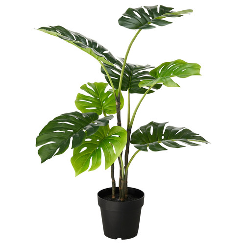 FEJKA Artificial potted plant, indoor/outdoor, Monstera, 19 cm