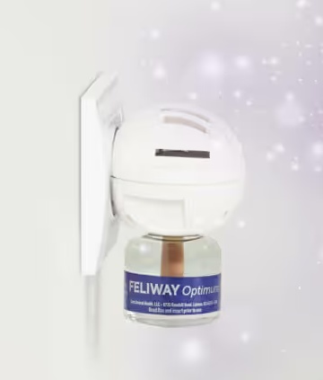 Feliway Optimum Refill 48ml (30 days)