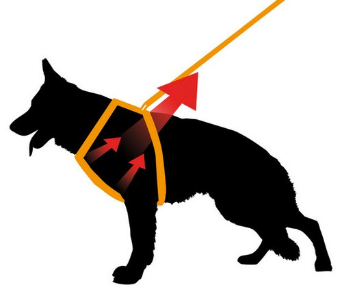 Ferplast Adjustable Dog Harness Ergocomfort P Size L, blue
