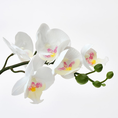 FEJKA Artificial potted plant, Orchid white, 9 cm