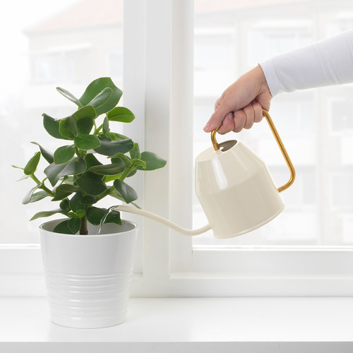 VATTENKRASSE Watering can, ivory, gold-colour, 0.9 l