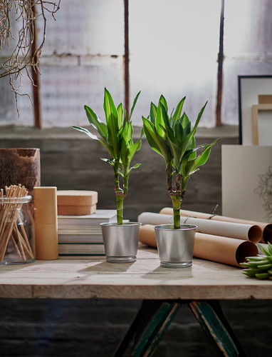 BINTJE Plant pot, galvanised, 9 cm